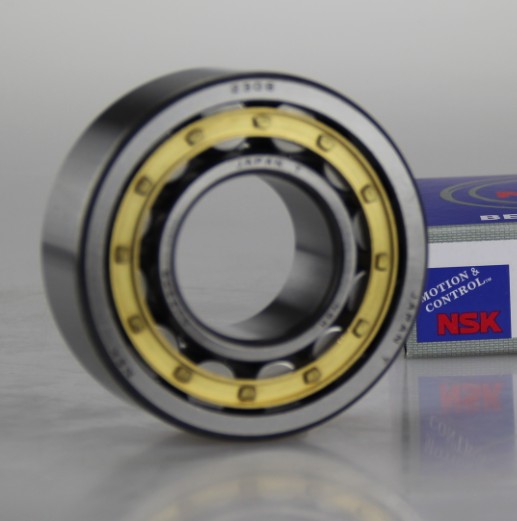 NSK NU2204