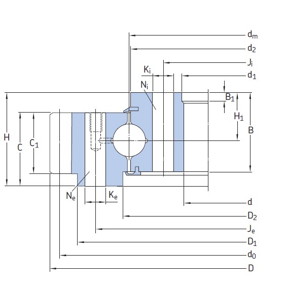 SKF RKS.302070202001