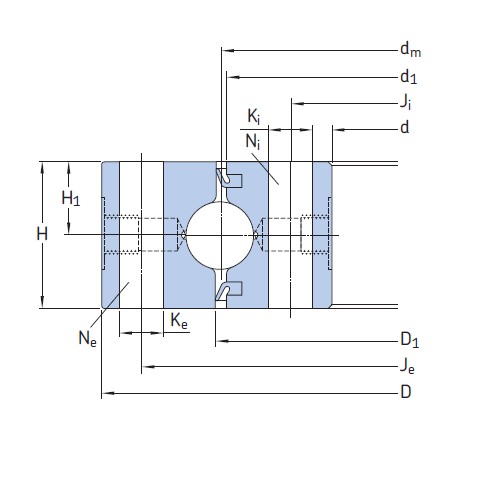 SKF RKS.900155101001