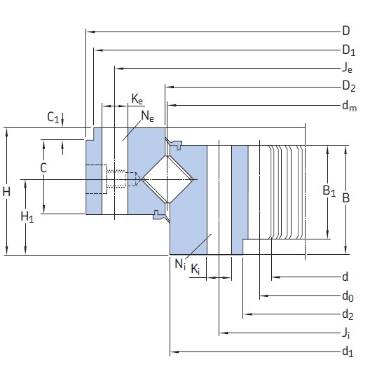 SKF RKS.111280101002