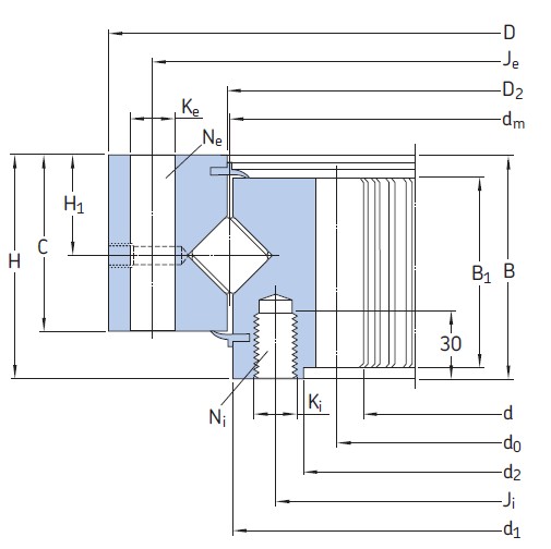 SKF RKS.312290202001