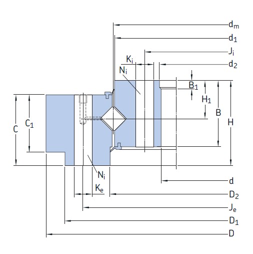 SKF RKS.122295101002